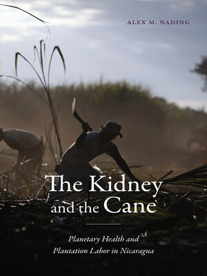 cover image of The Kidney and the Cane